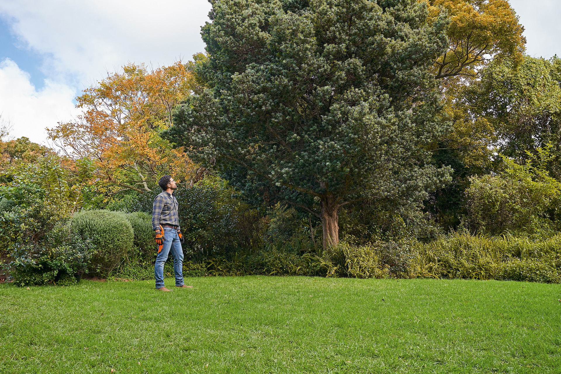 Muž s ochrannými rukavicemi STIHL a vyvětvovací pilou si v zahradě prohlíží listnatý strom 
