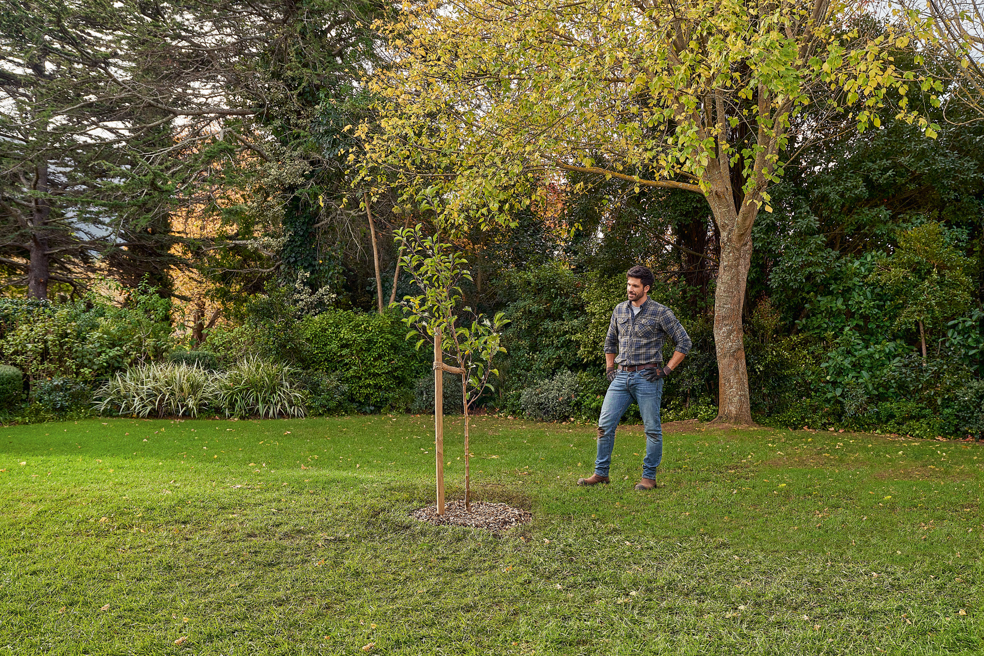 Muž stojí na zahradě vedle čerstvě zasazeného stromu